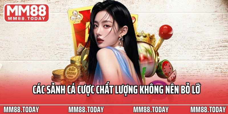 Các sảnh cá cược chất lượng không nên bỏ lỡ