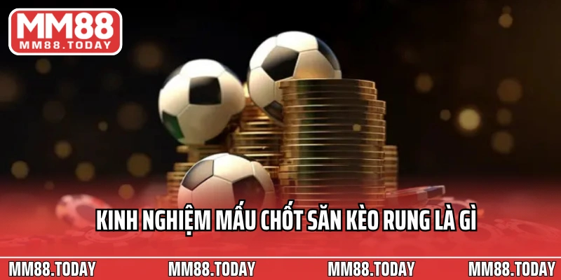 Kinh nghiệm mấu chốt săn kèo rung là gì