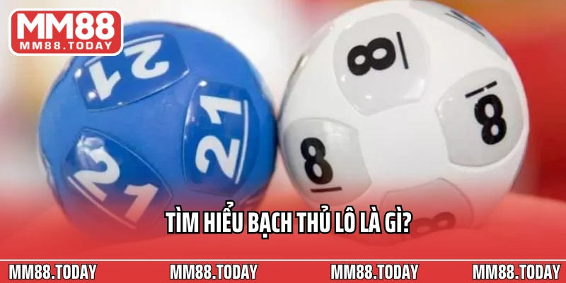Tìm hiểu Bạch thủ lô là gì?